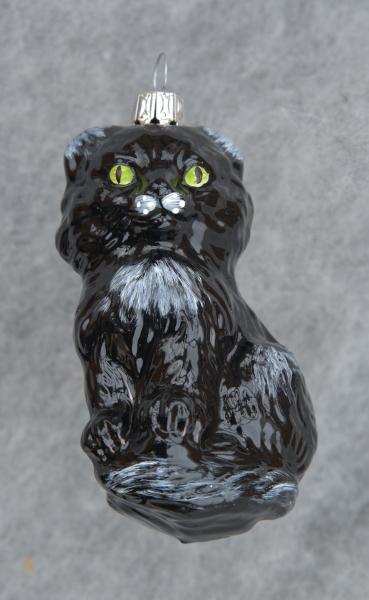 Katze schwarz glänzend